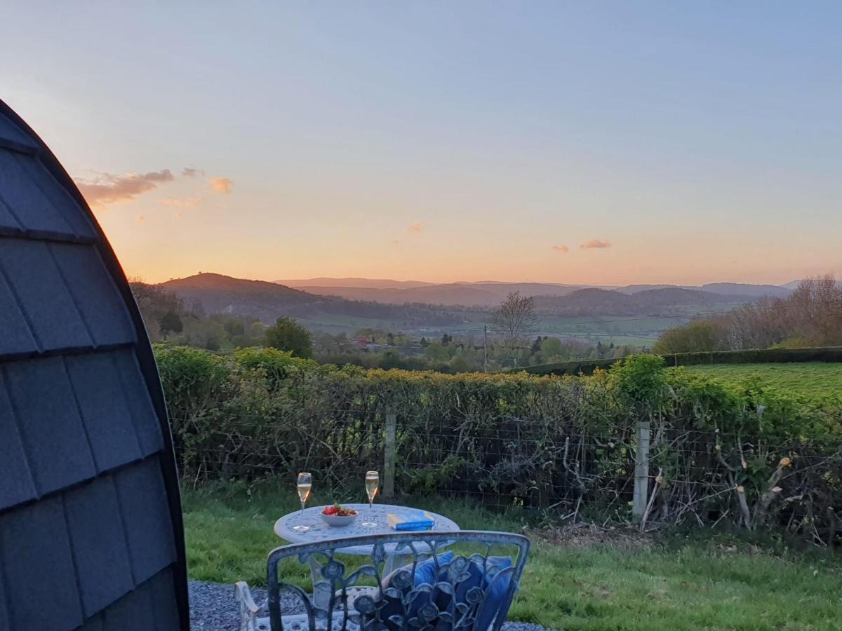 Villa Odli Glamping - Luxury Glamping Pod Welshpool Exterior foto