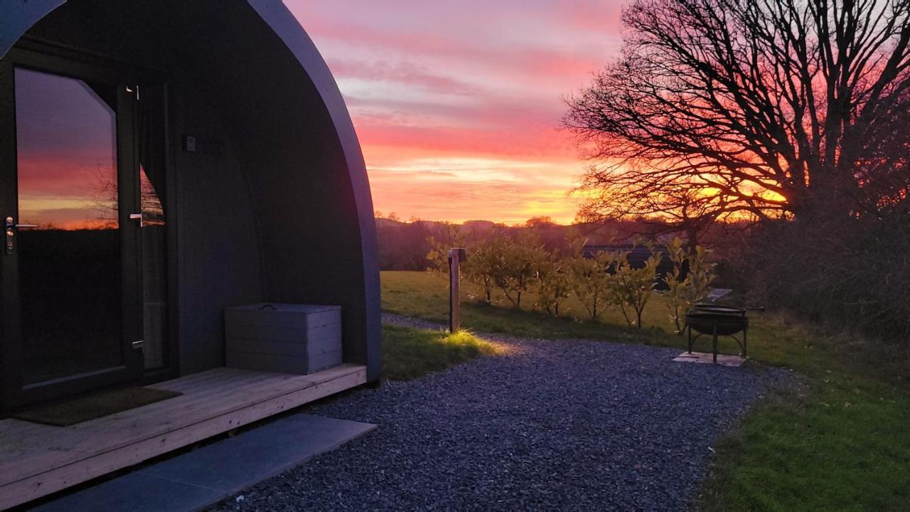 Villa Odli Glamping - Luxury Glamping Pod Welshpool Exterior foto